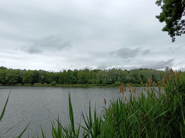 Sortie nature au Parc des Bruyères Fère en Tardenois (02)